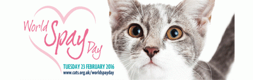 world_spay_day_2016